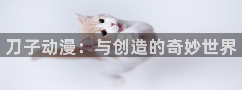 omofun最新纯净版：刀子动漫：与创造的奇妙世界