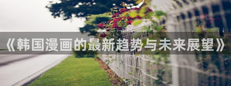 omofun动漫免费观看官网：《韩国漫画的最新趋势与未来展望》