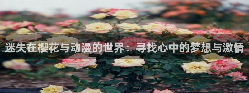omofun 在线观看：迷失在樱花与动漫的世界：寻找心中的梦想与激情