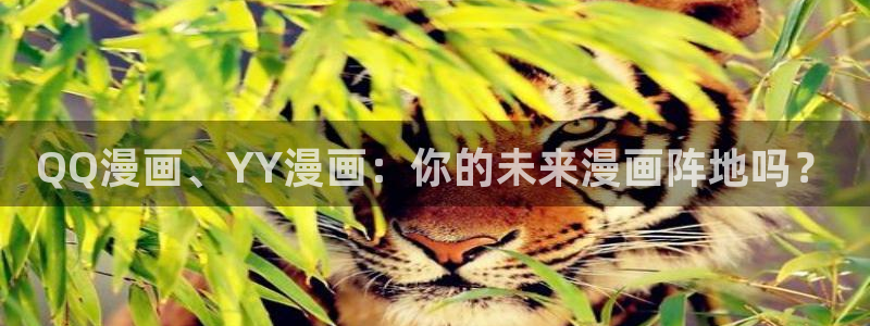 omofun网页：QQ漫画、YY漫画：你的未来漫画阵地吗？