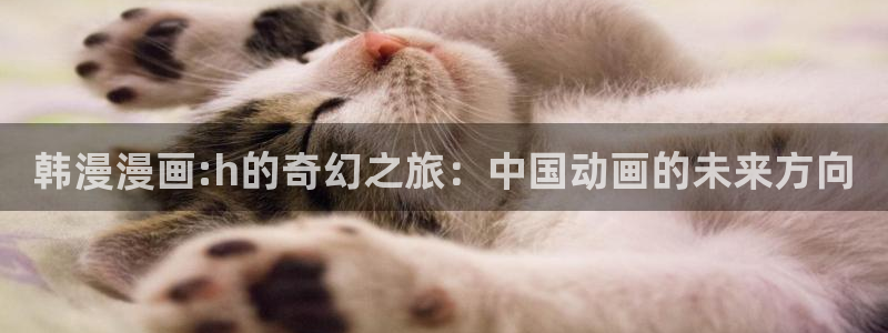 omofun正版：韩漫漫画:h的奇幻之旅：中国动画的未来方向