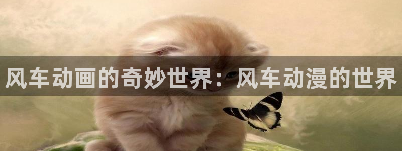 www.omofun：风车动画的奇妙世界：风车动漫的世界