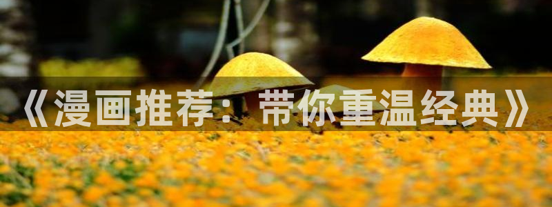 omofun安全下载：《漫画推荐：带你重温经典》