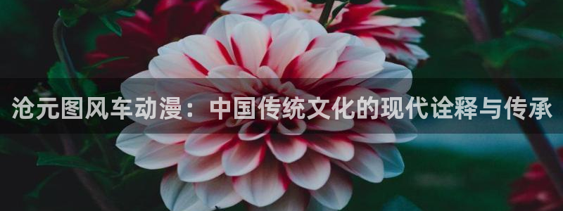 omofun动漫网官网：沧元图风车动漫：中国传统文化的现代诠释与传承