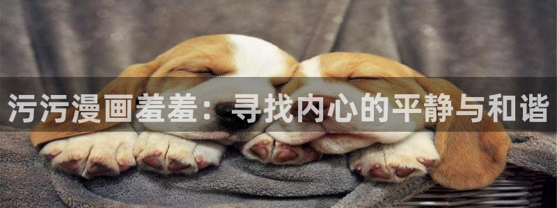 omofun官方：污污漫画羞羞：寻找内心的平静与和谐