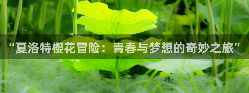 yy漫画地址下载：“夏洛特樱花冒险：青春与梦想的奇妙之旅”