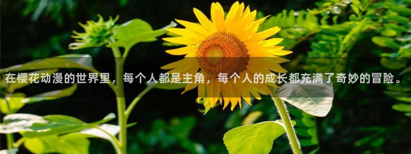 omofun动漫网页：在樱花动漫的世界里，每个人都是主角，每个人的成长都充满了奇妙的冒险。