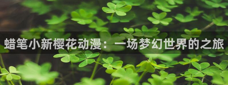 omofun 翻译：蜡笔小新樱花动漫：一场梦幻世界的之旅