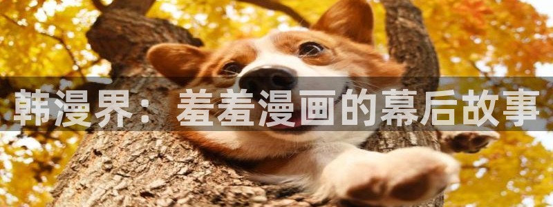 omofun最新纯净版：韩漫界：羞羞漫画的幕后故事